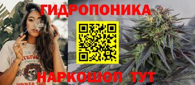 СК Бузулук