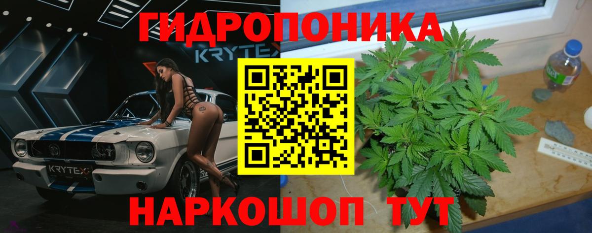 Шишки марихуана план  Вход с VPN  Бошки марихуана семена  Бошки Шишки тримм  Партизанск 